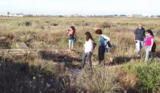 visita guiada a la ciudad islamica saltes.jpg